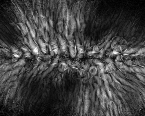 Process Compendium, 2004-2010