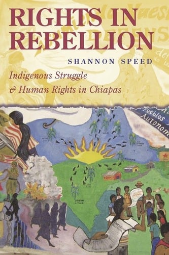 Rights in Rebellion Indigenous Struggle and Human Rights in Chiapas