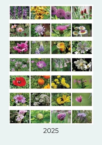 Blütenvielfalt Wochenkalender 2025