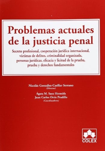 Problemas actuales de la justicia penal secreto profesional, cooperación jurídica internacional, víctimas de delitos, criminalidad organizada, personas jurídicas, eficacia y licitud de la prueba, prueba y derechos fundamentales