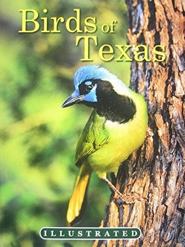 Birds of Texas
