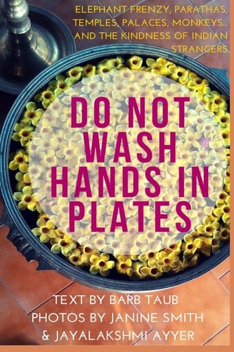 Do Not Wash Hands in Plates Elephant Frenzy, Parathas, Temples, Palaces, Monkeys, and the Kindness of Indian Strangers