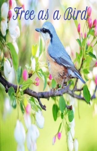 free as a bird