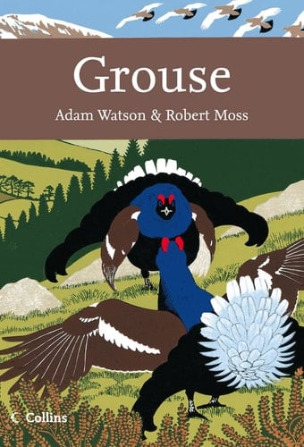 Grouse: The Natural History of British and Irish Species (The New Naturalist Library)