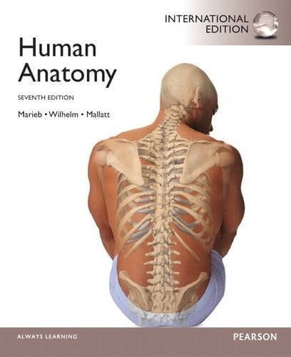 Human Anatomy