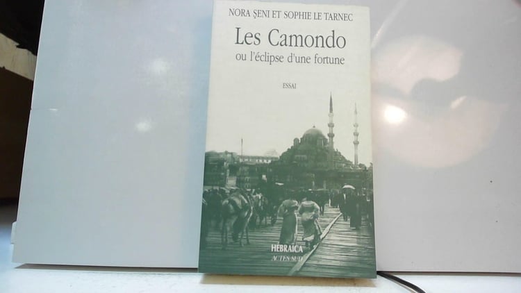 Les Camondo ou l'éclipse d'une fortune