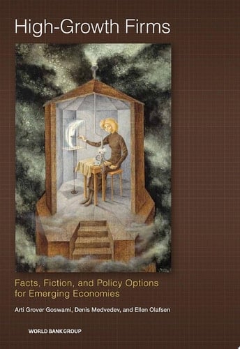 High-Growth Firms Facts, Fiction, and Policy Options for Emerging Economies
