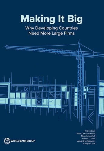 Making It Big Why Developing Countries Need More Large Firms