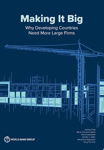 Making It Big Why Developing Countries Need More Large Firms