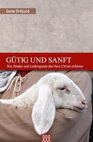 Gütig und sanft wie Sünder und Leidtragende das Herz Christi erfahren