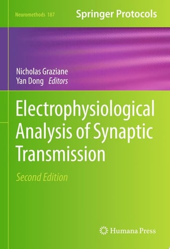 Electrophysiological Analysis of Synaptic Transmission