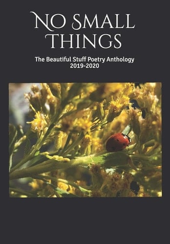 No Small Things The Beautiful Stuff Poetry Anthology 2019-2020