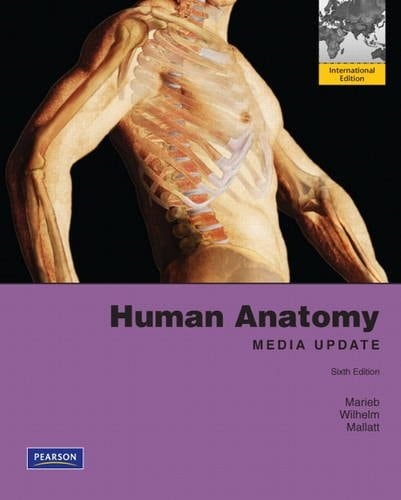 Human Anatomy