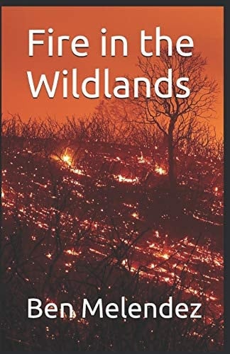 Fire in the Wildlands
