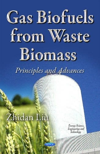 Gas Biofuels from Waste Biomass Principles and Advances