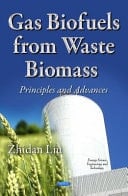 Gas Biofuels from Waste Biomass Principles and Advances