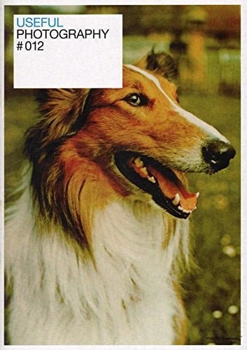 Useful Photography #012