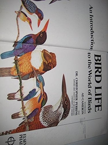 Bird Life An Introduction to the World of Birds