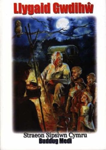 Llygaid gwdihŵ straeon sipsiwn Cymru