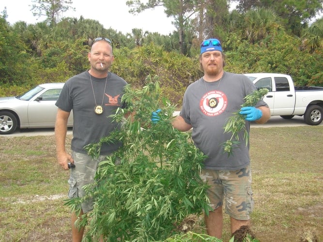 Drug Identifier 2008 The Premier Tool for Correct Drug Identification