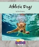 Athletic Dogs