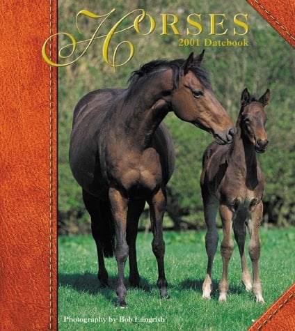 Horses 2001 Calendar (Datebooks)