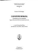 Calvatone romana: Un pozzo e il suo contesto : saggio nella zona nord dell'area di proprietà provinciale (Quaderni di Acme) (Italian Edition)