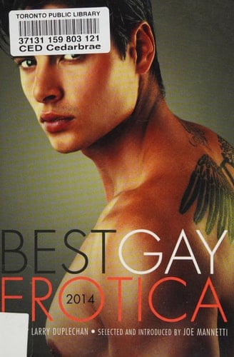 Best Gay Erotica 2014