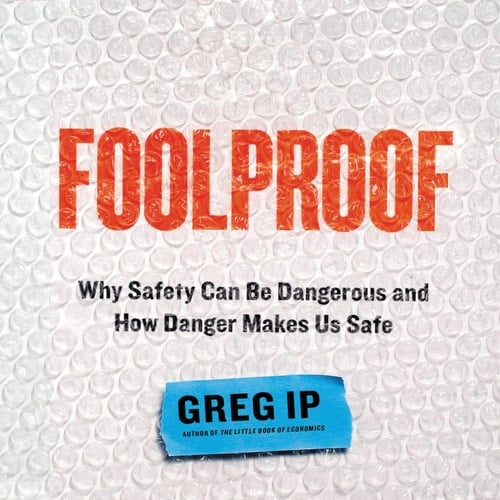 Foolproof: Why Safety Can Be Dangerous and How Danger Makes Us Safe