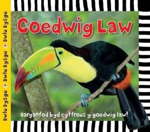 Coedwig law