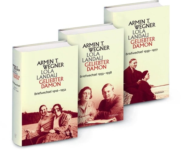 Geliebter Dämon Briefwechsel 1916-1977