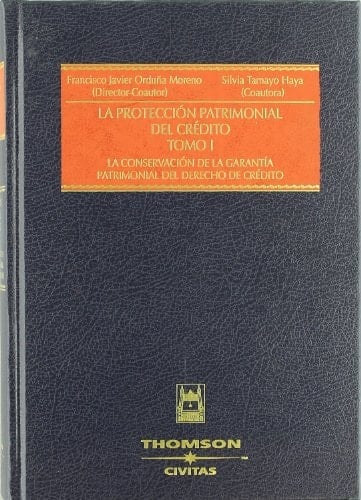 La protección patrimonial del crédito. Tomo I. La conservación de la garantía patrimonial del derecho de crédito.