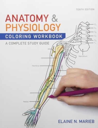 Anatomy and Physiology Coloring Workbook and Essentials of Human Anatomy and Physiology Plus MasteringA&P with EText Package