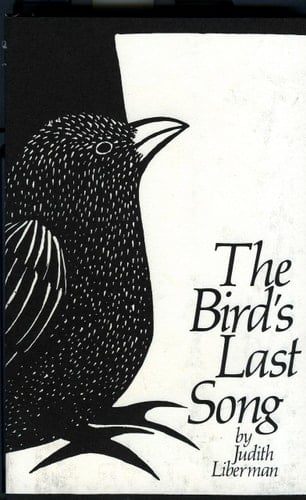 The Bird's Last Song