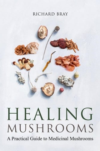 Medicinal Mushrooms: a Practical Guide to Healing Mushrooms