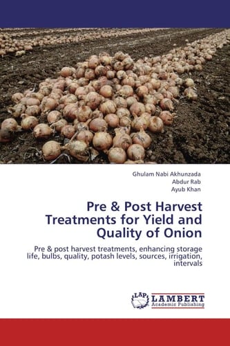 Pre & Post Harvest Treatments for Yield and Quality of Onion Pre & Post Harvest Treatments, Enhancing Storage Life, Bulbs, Quality, Potash Levels, Sources, Irrigation, Intervals