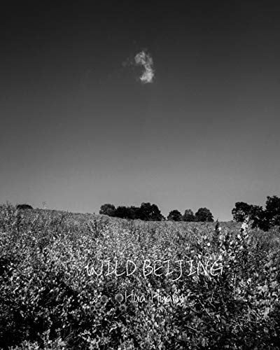 Wild Beijing