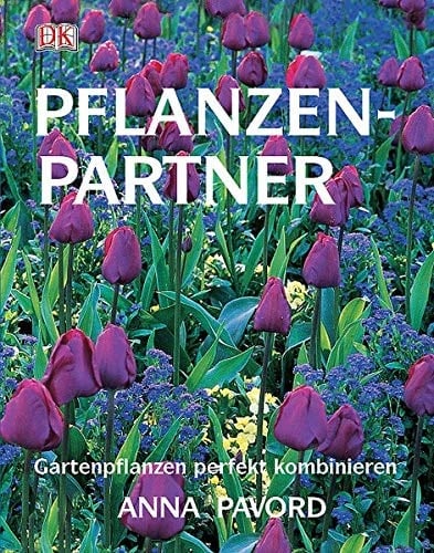 Pflanzenpartner Gartenpflanzen perfekt kombinieren
