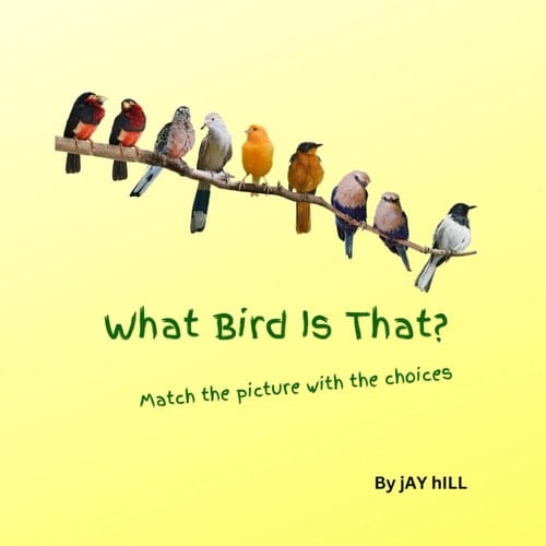 What Bird is That: Match the Picture with the Choices