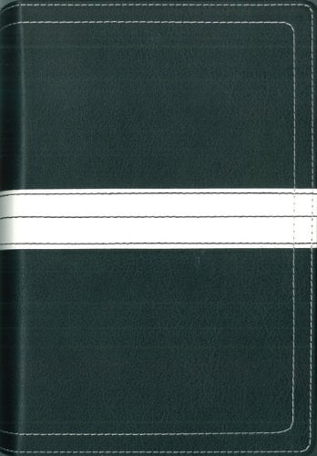 07 Spring Promo Gift Bible 2 - Wal-Mart