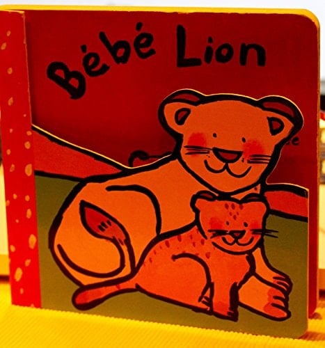 Bébé lion