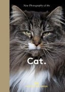 New Photography of the Cat.