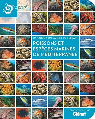 Poissons et espèces marines en Méditerranée Un guide + un carnet de terrain