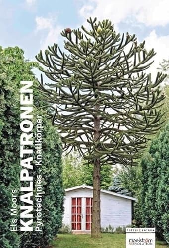 Knallkörper Gedichte