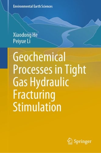 Geochemical Processes in Tight Gas Hydraulic Fracturing Stimulation