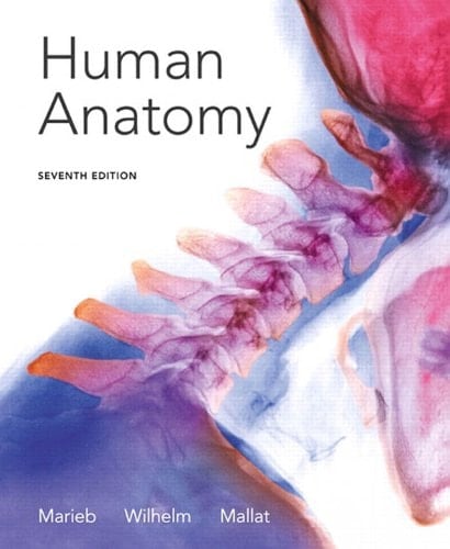 Human Anatomy (2-downloads)