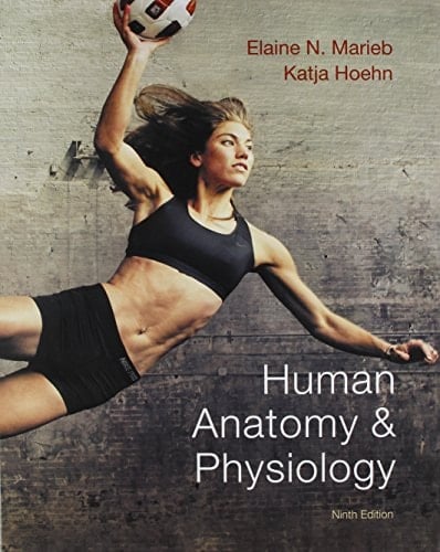 Human Anatomy & Physiology