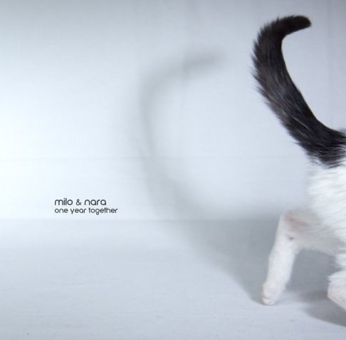 Milo&Nara 2017