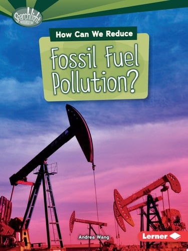How Can We Reduce Fossil Fuel Pollution?