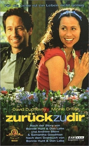 Zurück zu dir Roman